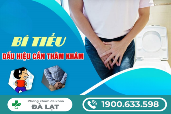 Hình ảnh minh họa